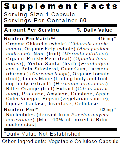  Dietary Supplement- holistic vitamins and supplements 